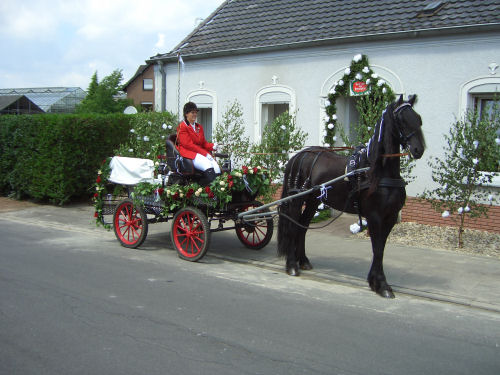 Hochzeit Nicole