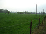 Home06