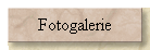 Fotogalerie