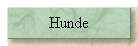Hunde