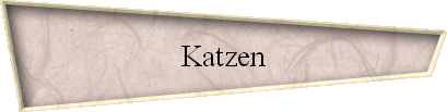 Katzen