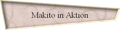 Makito in Aktion