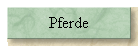 Pferde
