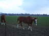 Aufgezeichnet 2005-3-25 00009