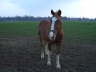Aufgezeichnet 2005-3-25 00010